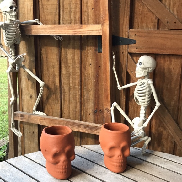 West Elm Spooky and Unique Handcrafted Terracotta Skull Vases - Set of 2 💀 - Picture 6 of 17
